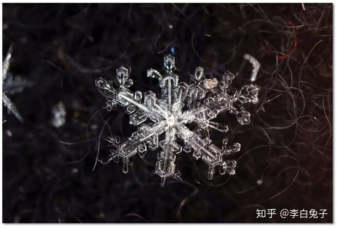 雪化不哭 收下这些精美的雪花结晶照片吧 附拍摄方法 一点技巧 知乎 雪化不哭 收下这些精美的雪花结晶照片吧 附拍摄方法 一点技巧 知乎