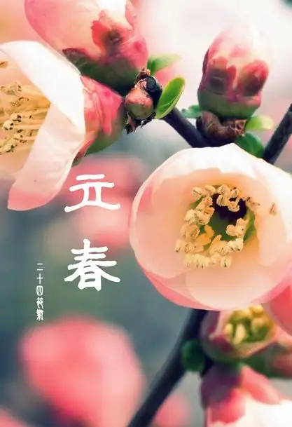 24节气对应吃什么食物？