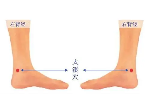 太溪穴：滋阴补肾又能润喉的大补穴