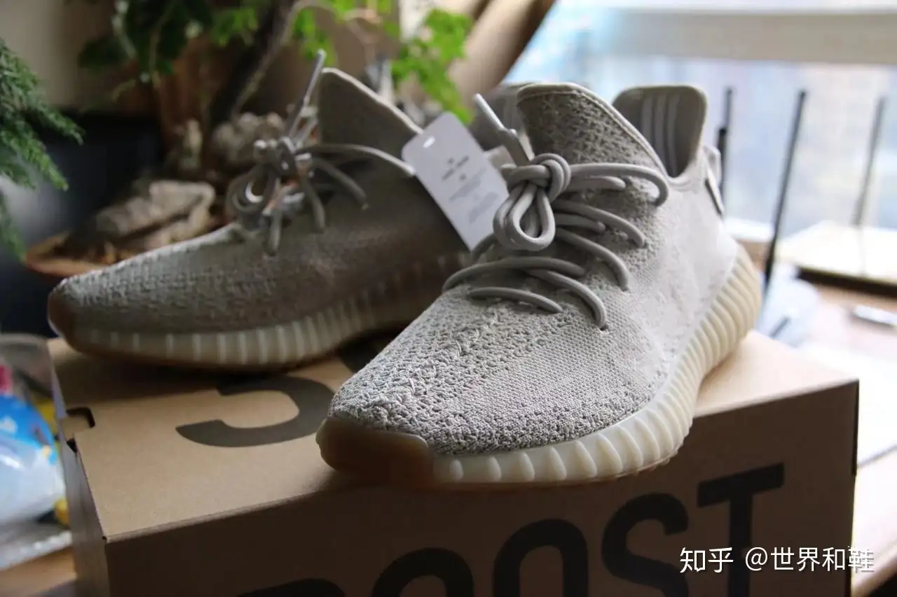 世界和鞋# YEEZY BOOST 350 V2 SESAME - 知乎