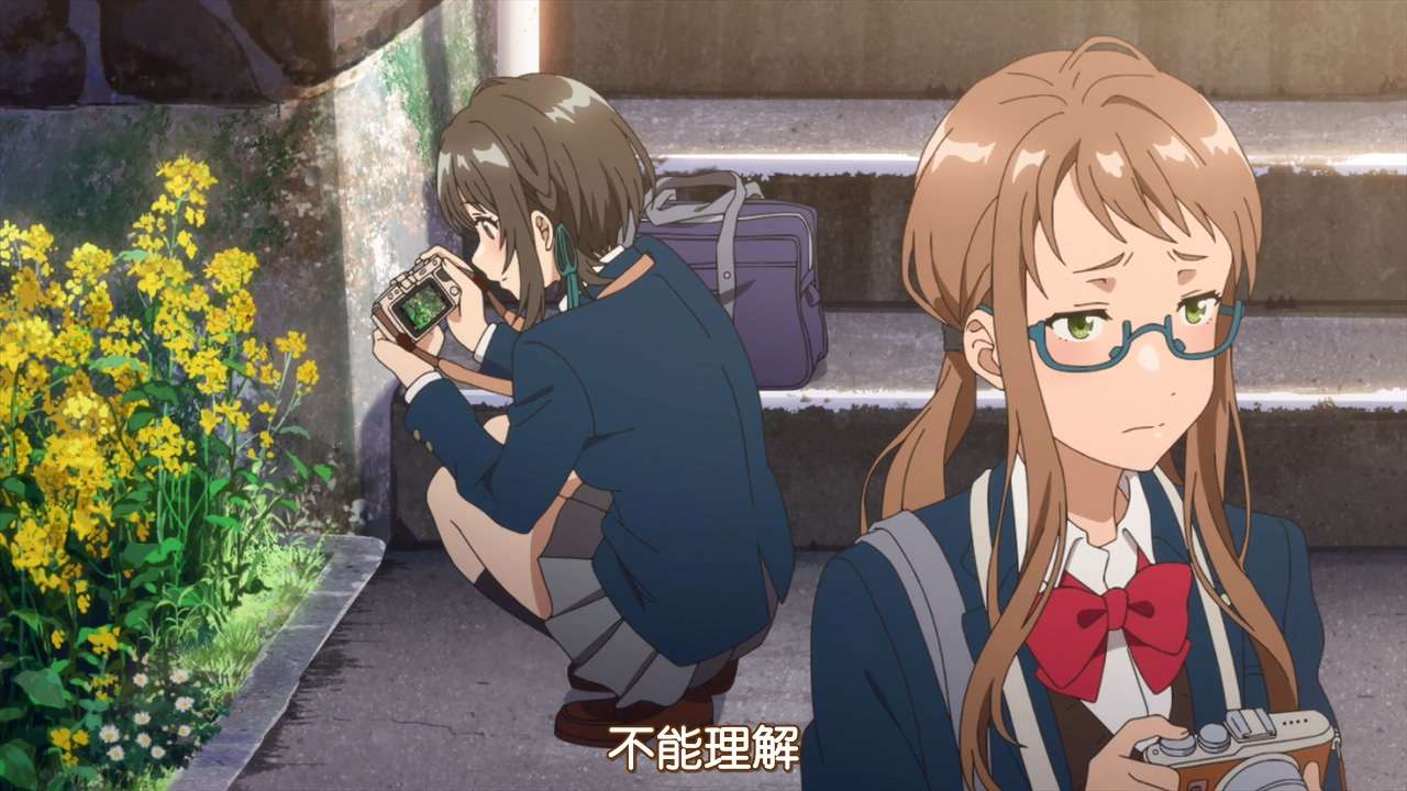 贵圈好像不太乱 知乎