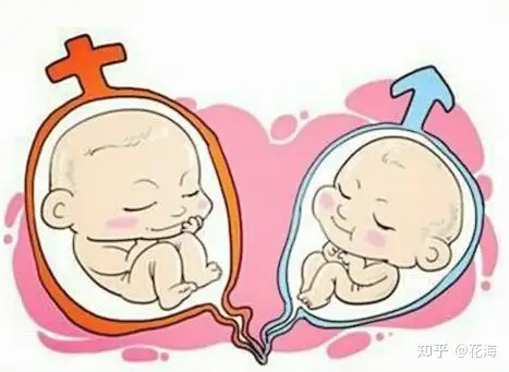 成都试管婴儿中心（上海有哪些助孕机构公司，做试管助孕一次成功的概率有多少？）