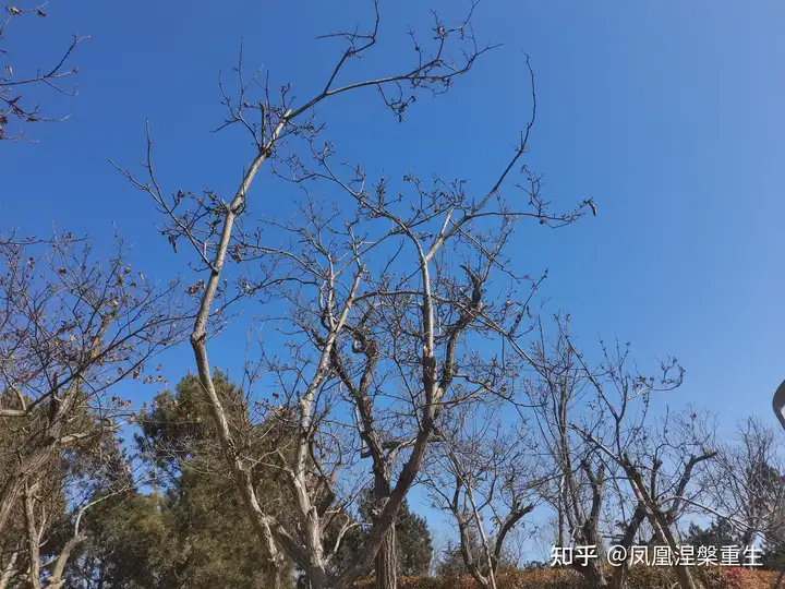 這都可以？（人生漫漫我們不會(huì)再見面了）人生漫長,不會(huì)再見，人生漫漫，不妨停下來看看風(fēng)景，2022年5月里番，