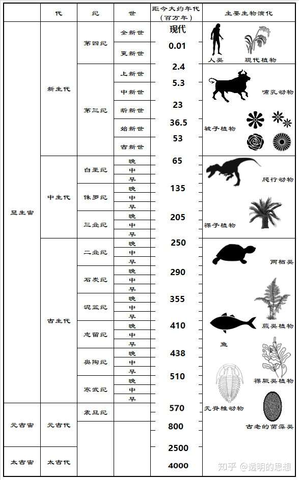 新生代哺乳动物崛起 进化的历史014 知乎