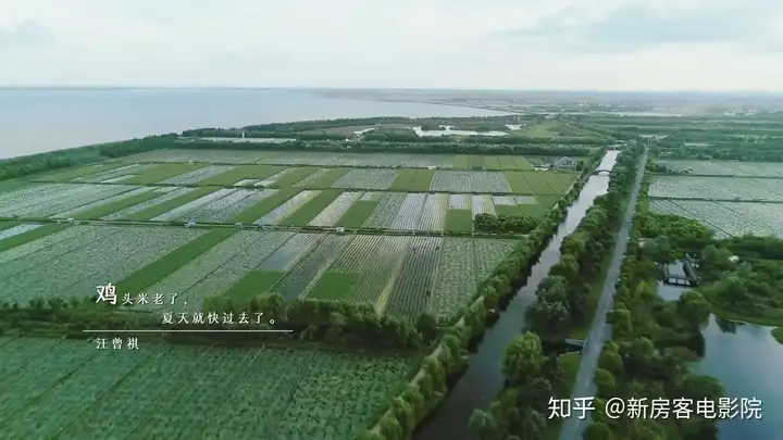学到了(2021年所有美食纪录片?)美食纪录片排行榜2023已更新 第5张