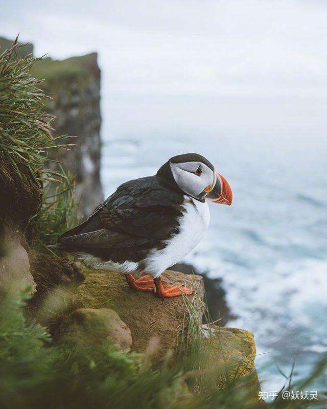 四,一眼就能看得到头,不是我们想要的生活,我们为之努力,不是为了飞