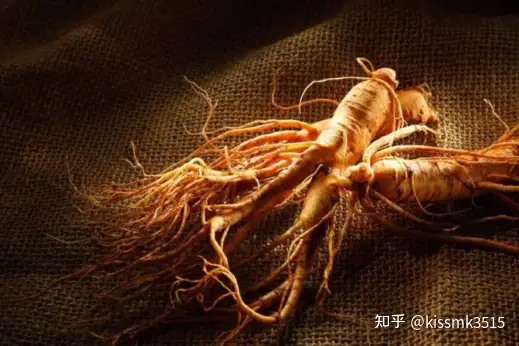 人参哪个牌子好?10大人参品牌排行榜十大排行- 知乎