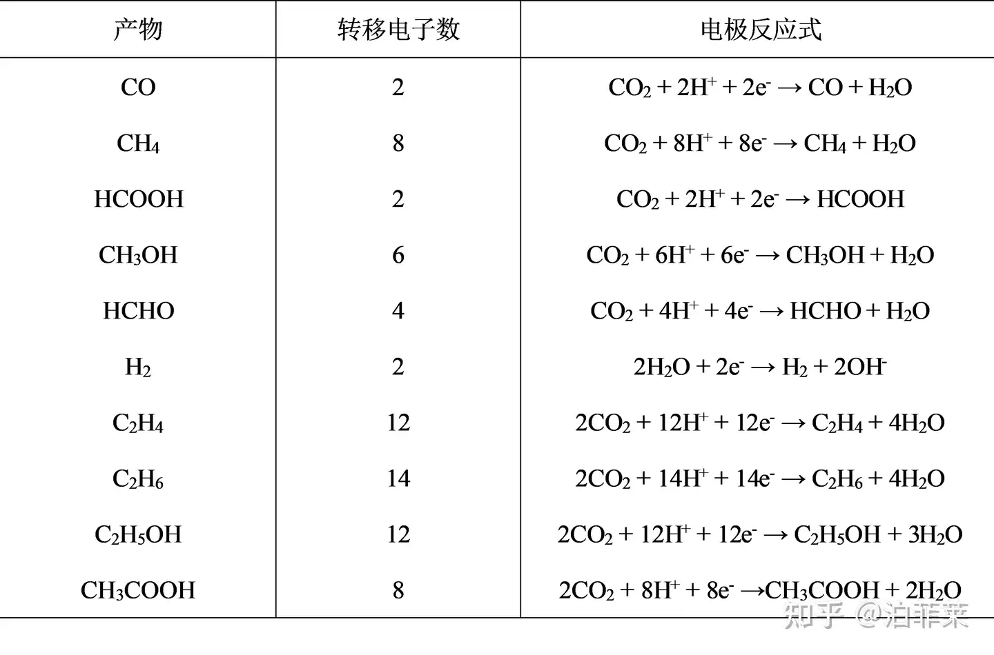 ファッションデザイナー 複素解析 ノンフィクション/教養