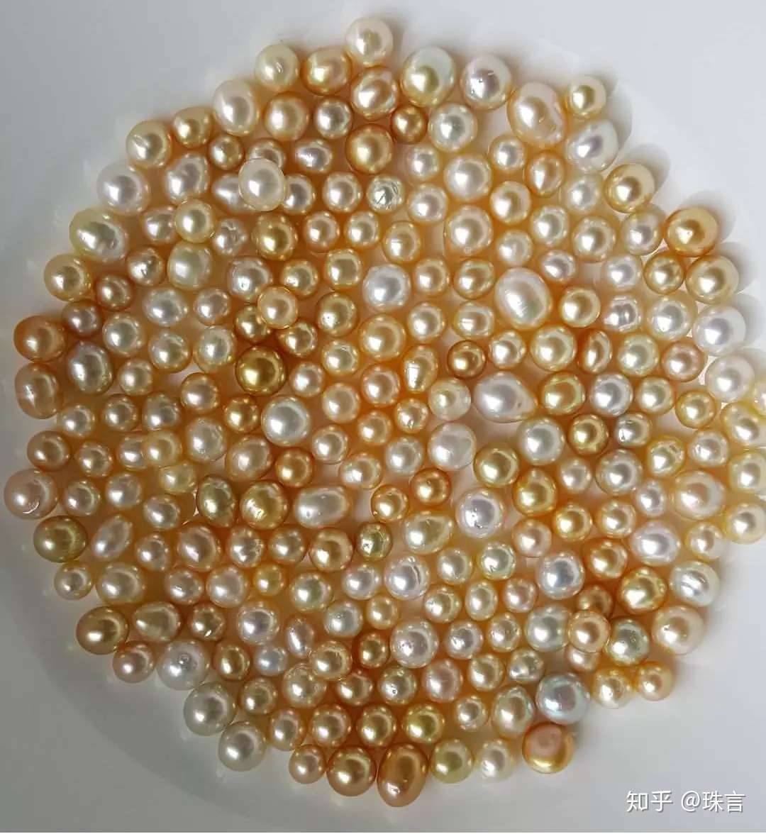 南洋真珠 白蝶濃金超大珠 無調色14.0mm