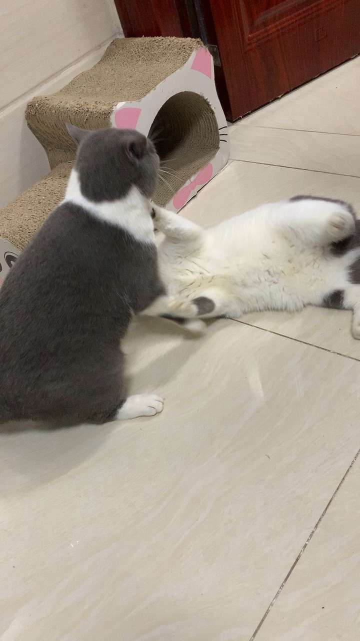 v2-4b81e105a602177f0ed8f43aa3b66106_bh.jpg?source=1940ef5c