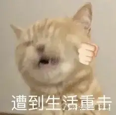 大厂程序员：AI正在将我们变成高速流水线工人，受不了了