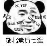 求各省素质十连表情包?