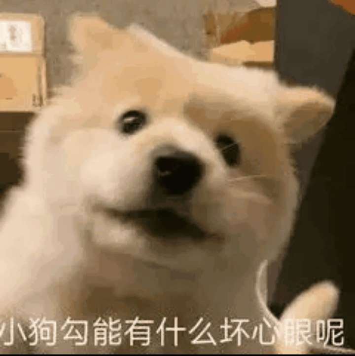 有没有很骚的文案? 有点污污的文案:我曾摸过高山插图15 有没有很骚的文案? 有点污污的文案:我曾摸过高山插图15