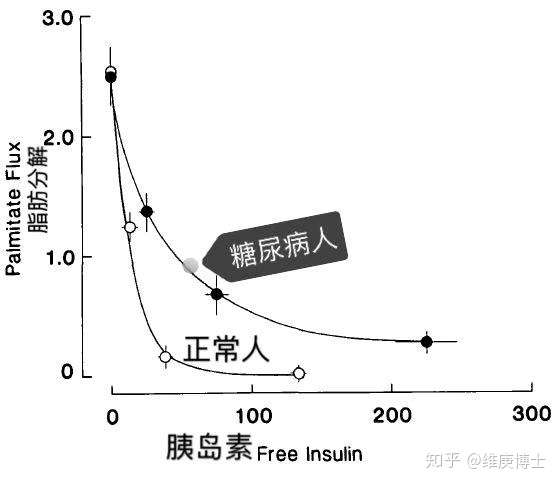 为了减肥降血糖降血脂间歇性禁食多久最合适