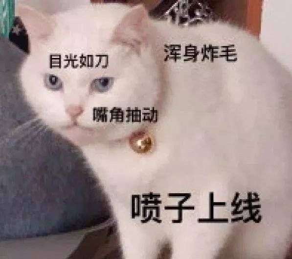 谁像鸡?嘿我这暴脾气我能忍 能 我忍住了