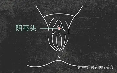 私密部位大家不要羞于了解