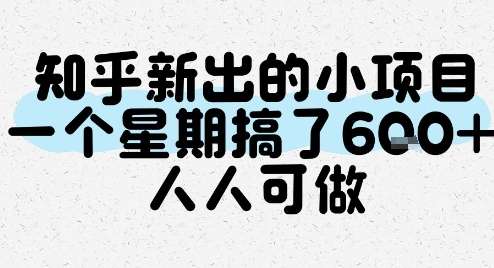 图片[1]-2025知乎新出的小项目【无门槛要求小白可做】一个星期搞了6张-暗冰资源网