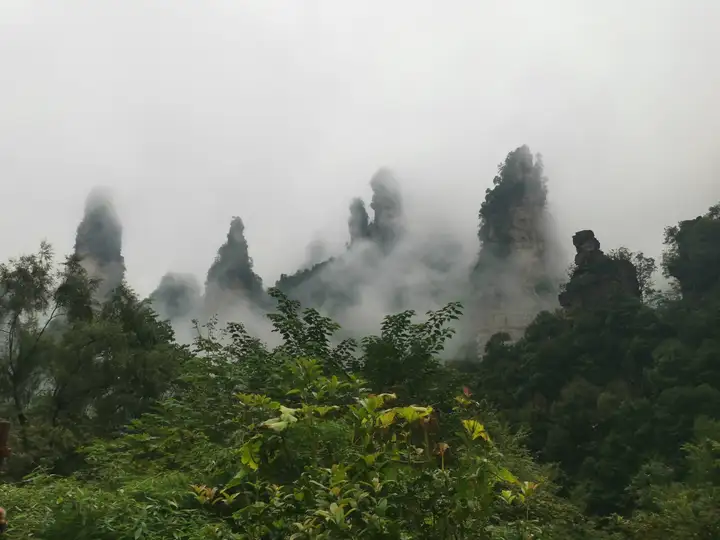 张家界旅游行程安排/张家界旅游线路推荐/最新张家界自由行纯玩旅游攻略