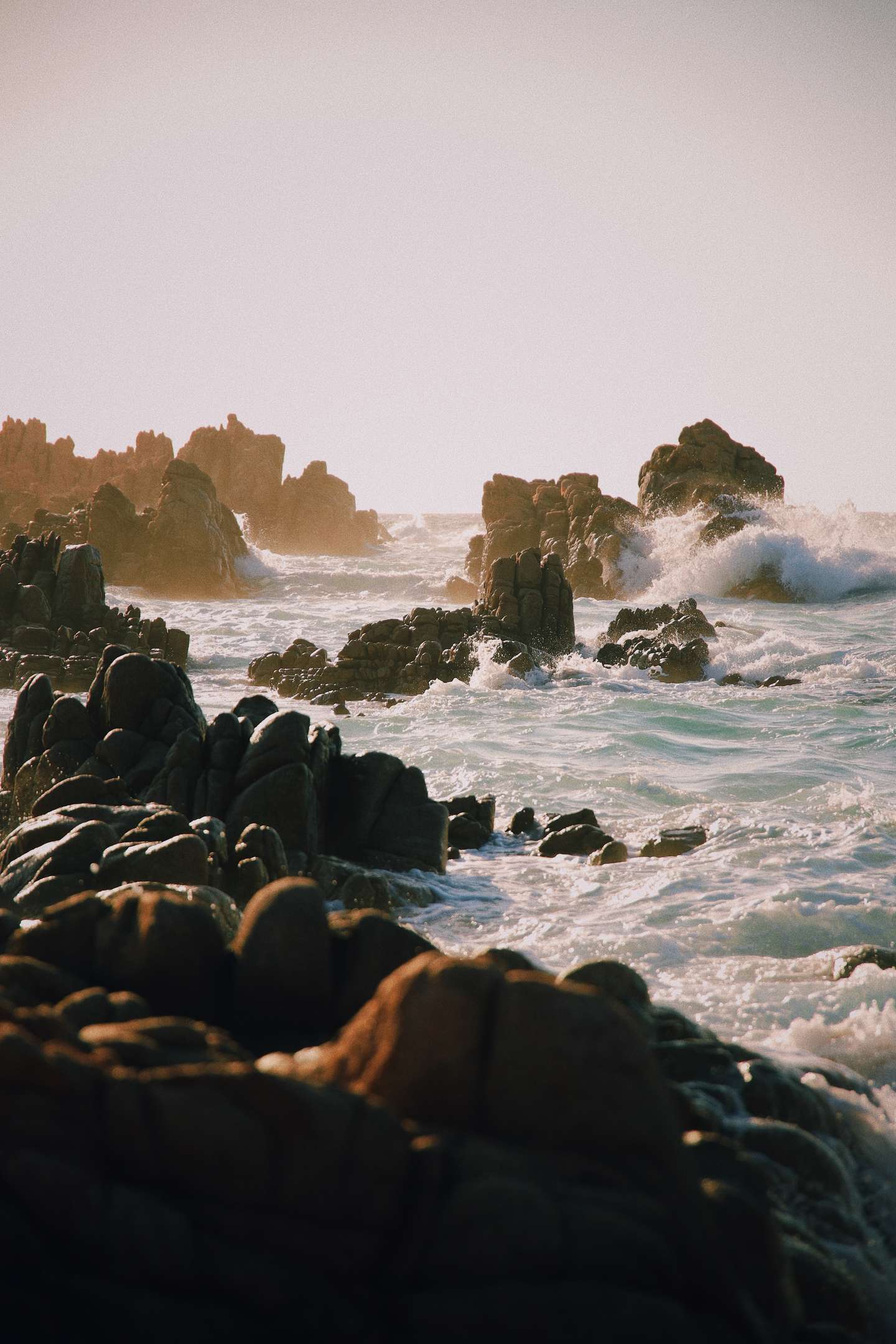 Templates and Data Organization