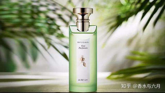 宝格丽绿茶 白茶 红茶 蓝茶 黑茶 5支茶香你该如何挑选 知乎