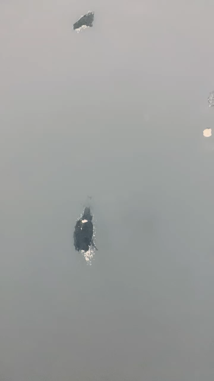 v2-4f5c37e7dc1c4a2280fab178b017d6b6_720w.jpg?source=1940ef5c