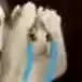aa