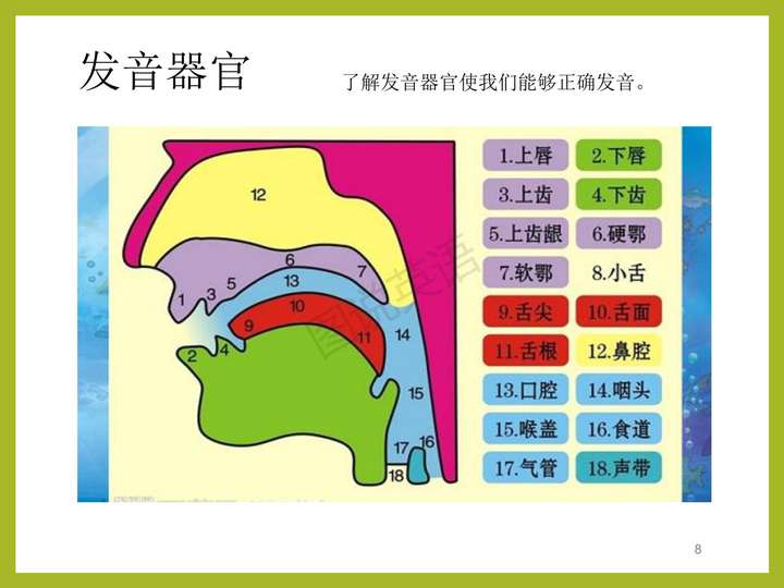 元音字母有哪些？20个元音和28个辅音