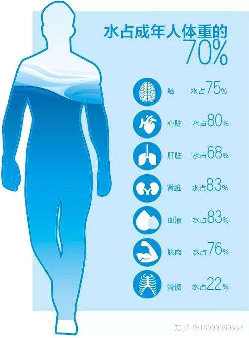 18900960557 水是人体最主要的组成部分,约占体重的70%,身体中的每一