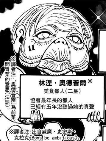 全职猎人 猎人协会真实实力的冰山一角 知乎 全职猎人 猎人协会真实实力的冰山一角 知乎