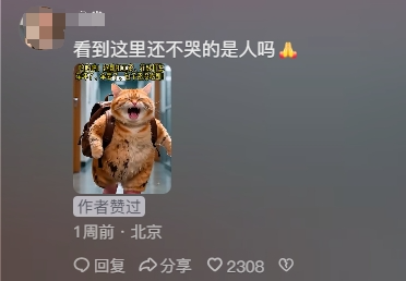一夜爆火的AI“电子榨菜”，让同行无地自容