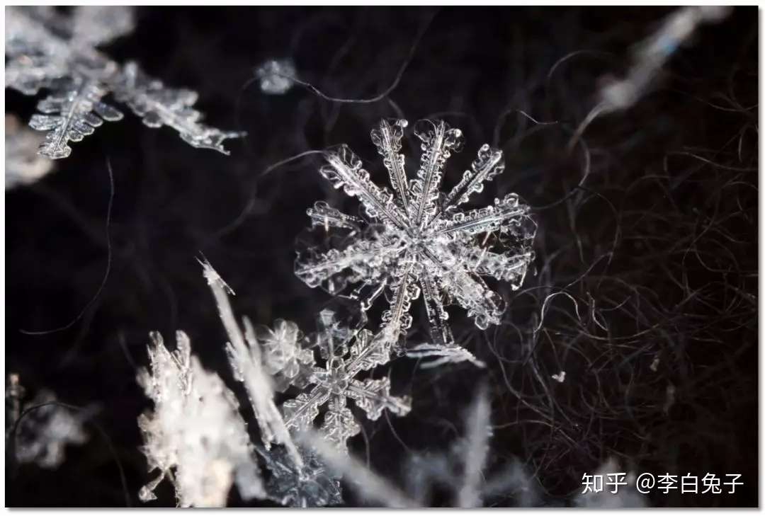 雪化不哭 收下这些精美的雪花结晶照片吧 附拍摄方法 一点技巧 知乎 雪化不哭 收下这些精美的雪花结晶照片吧 附拍摄方法 一点技巧 知乎