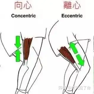 离心运动向心运动图片