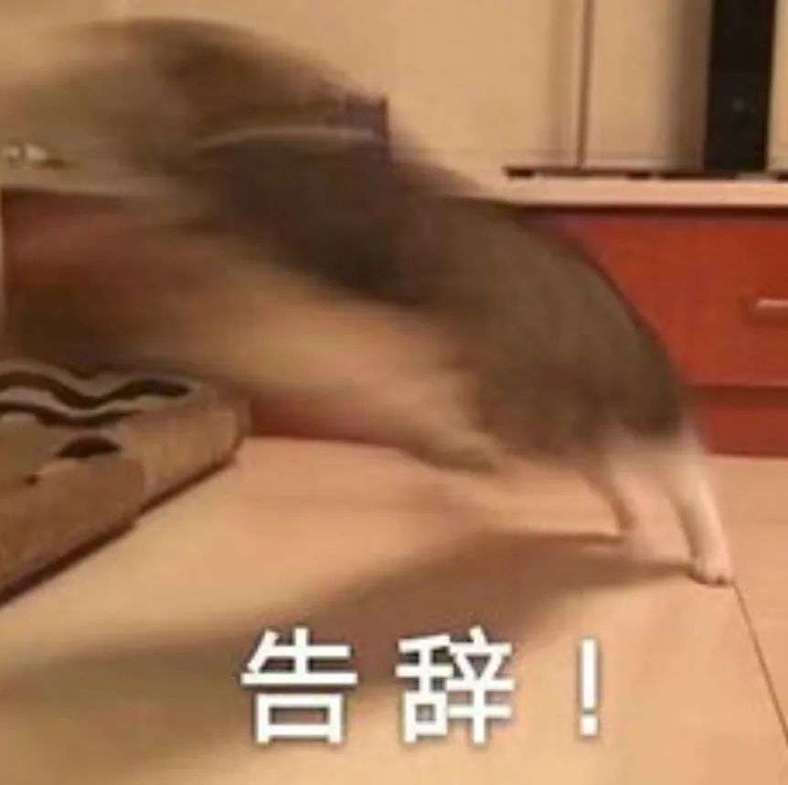 豆包超能创意2.0，批量输出效率拉满，创意理解全面进化！