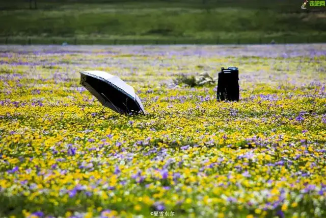 避暑旅游景点大全排名（国内最清凉避暑地是哪里）