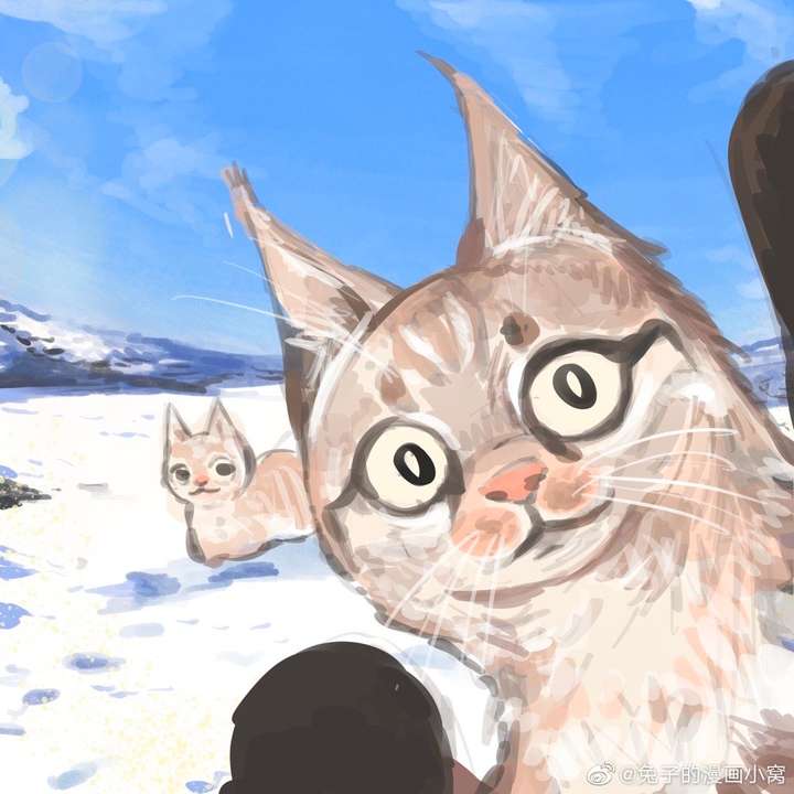 荒漠猫简笔画图片
