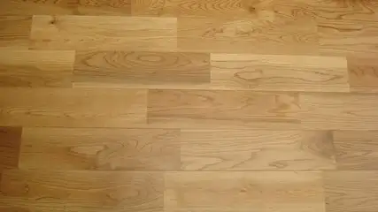 info-427-240 info-427-240