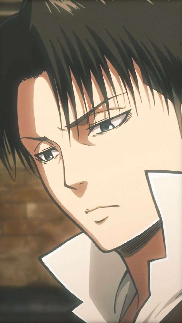 恩……艾伦的话……现在还有点狂,你可以看看利威尔兵长