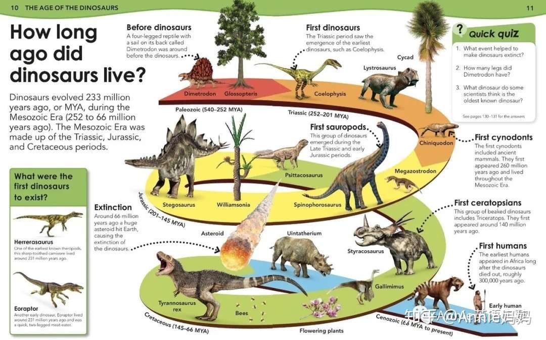 如何用英语和孩子介绍各种恐龙 知乎