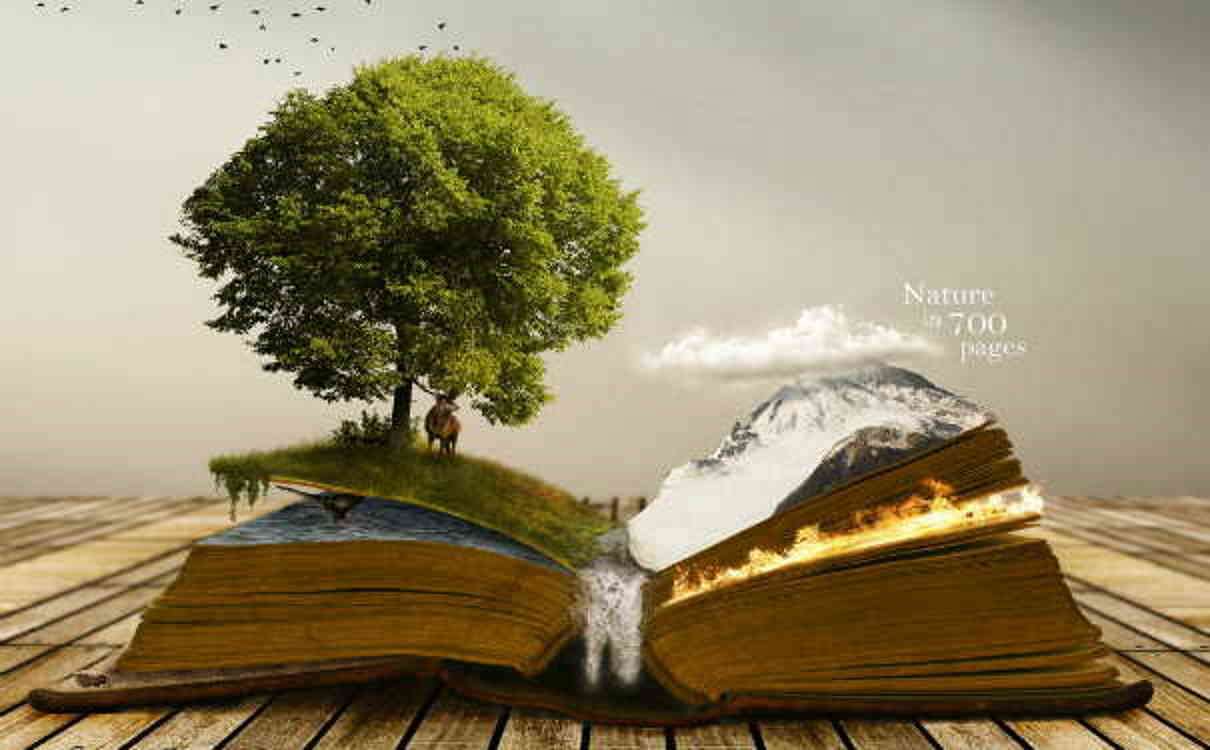 初一数学论文 知乎