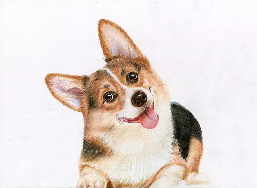 宠医答疑 猫咪和狗子呕吐的罪魁祸首竟然是它 知乎