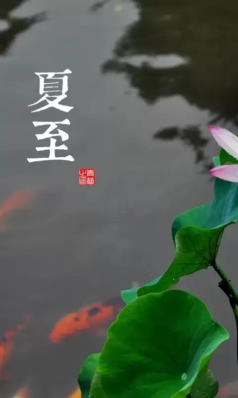 6 月 21 日 17 时 14 分迎来夏至，你对夏至都有哪些了解？