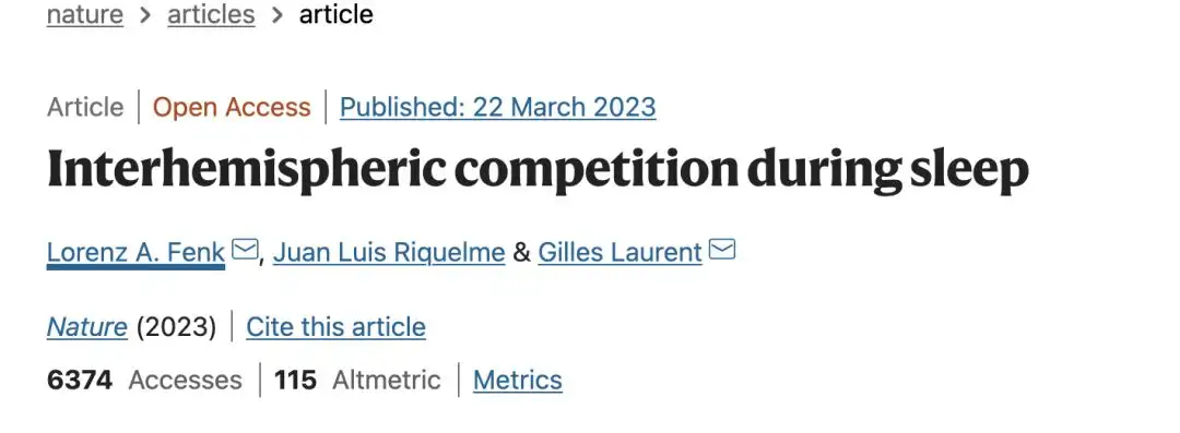 Interhemispheric competition during sleep