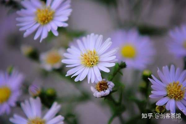 励志哲理名言 成功者格言 坚持自己 就是胜利 知乎