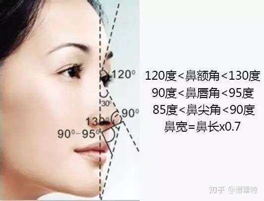 有没有可以帮我看一下,我的鼻子算不算高挺?