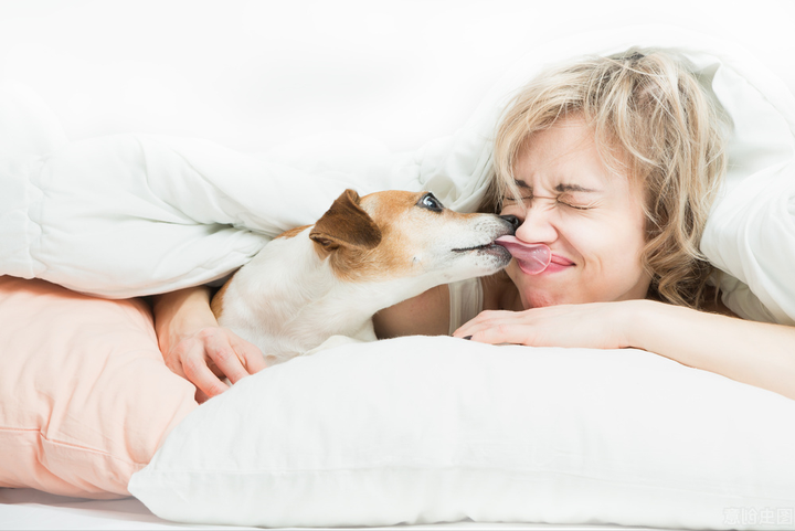 舔狗是什么意思呢？舔狗最卑微的一句话