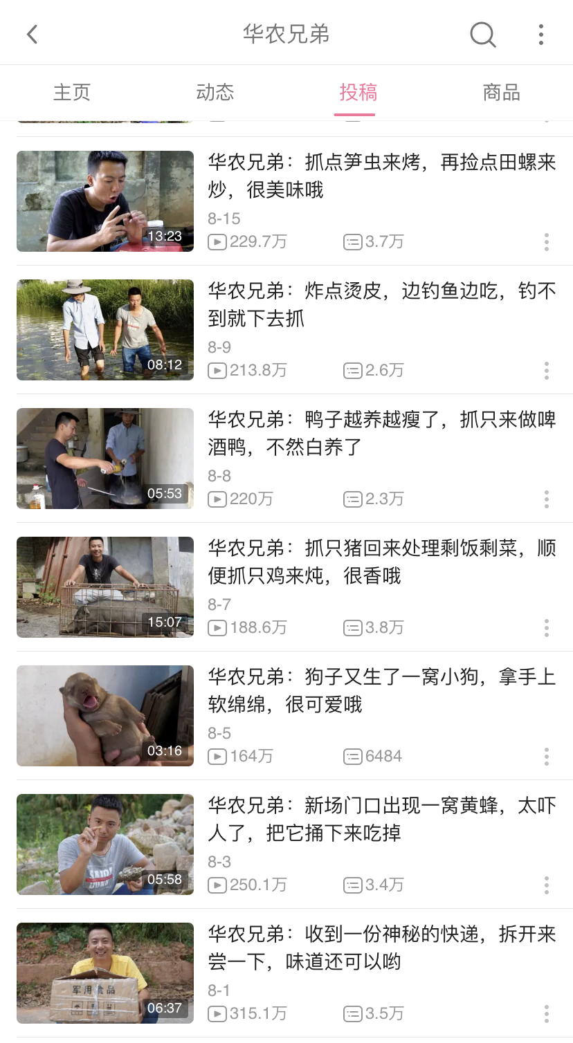 靠短视频火爆的华农兄弟 放生了最后一只竹鼠 知乎