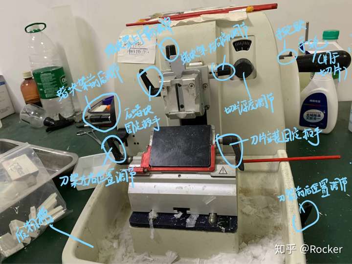 用福尔马林进行固定,终止组织细胞的代谢反应,然后把组织放到包埋盒里