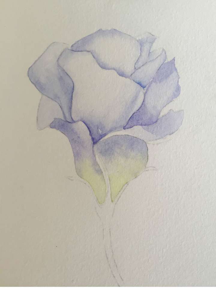 零基础超详细水彩花卉干货教程01篇 知乎 零基础超详细水彩花卉干货教程01篇 知乎