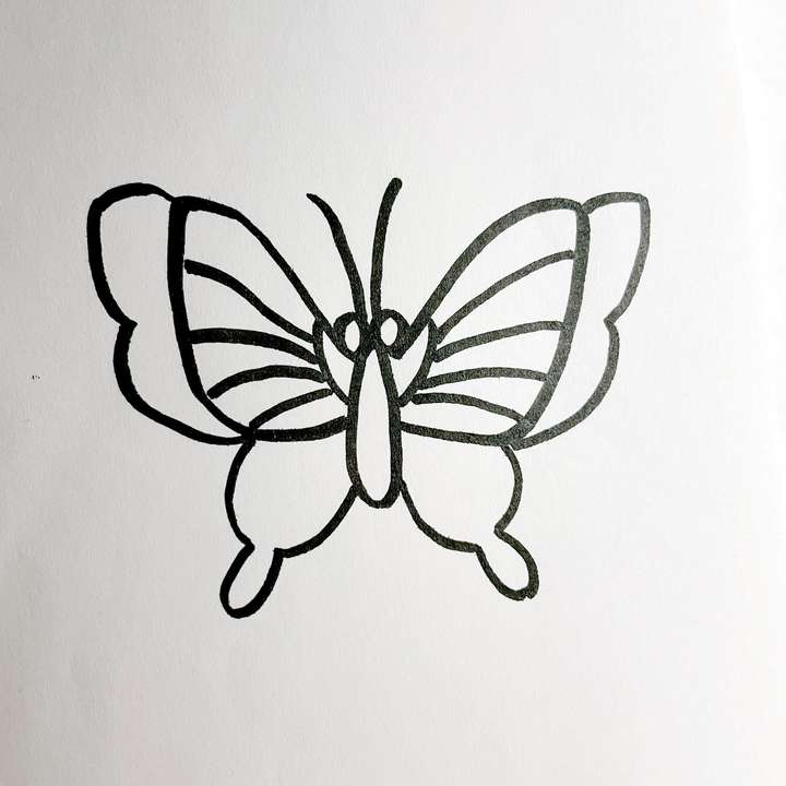 海绵蝴蝶简笔画图片