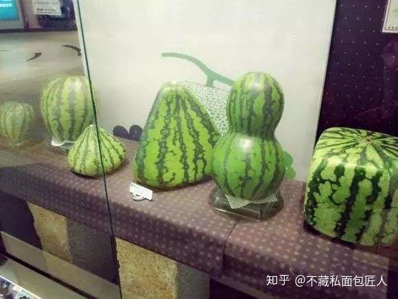 炎炎夏日 咬一口 西瓜面包 降降暑 知乎